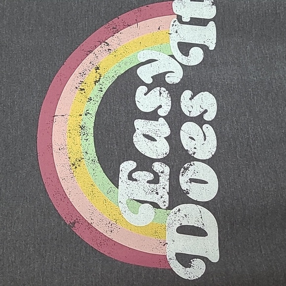 WILDFOX EASY DOES IT BURNOUT RAINBOW GRAPHIC SWEATSHIRT GRAY MEDIUM - Picture 4 of 11